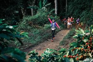 BIB: 
                            <button type="button" onclick="openModal(25816908)" class="btn btn-primary btn-sm float-right btn-popup" data-toggle="modal" data-target=".modal-high-quality">
                        <i class="fas fa-shopping-cart"></i> Add to Cart
                    </button>
                                            <button type="button" onclick="isThisMe(25816908, true)" class="btn btn-success btn-sm float-right btn-popup btn-isme hidden" data-toggle="tooltip" data-placement="bottom" title="นี่คือรูปของคุณใช่ไหม คลิกที่นี่เพื่อเอาเข้าอัลบั้ม">
                        <i class="fas fa-plus"></i> Add to album
                    </button>
                    <button type="button" onclick="isThisMe(25816908, false)" class="btn btn-warning btn-sm float-right btn-popup btn-isnotme hidden">
                        <i class="fas fa-ban"></i> Remove from album
                    </button>